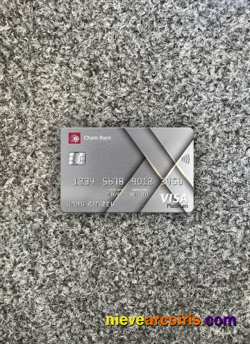 Syria Cham Bank visa platinum card photolook